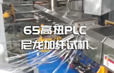 65高扭+PLC，尼龍加纖雙螺桿擠出機試機